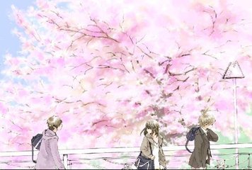 狼有视频导航跳转